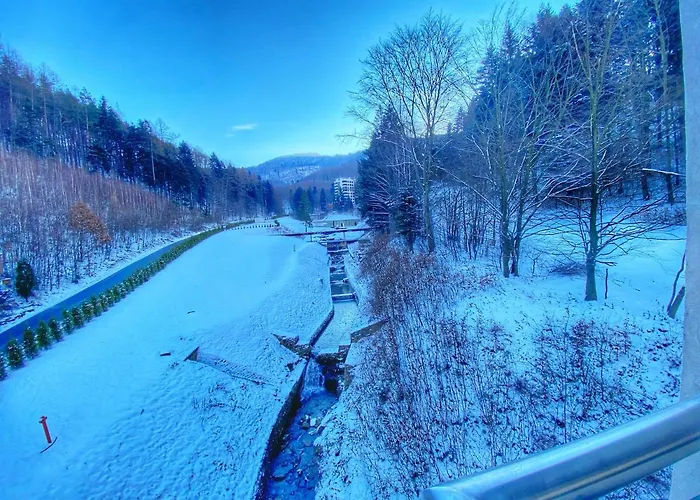 Kurort Kozubnik 33 Wellness &spa 3*