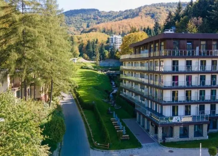 Kurort Kozubnik 33 Wellness &spa アパートホテル 3*