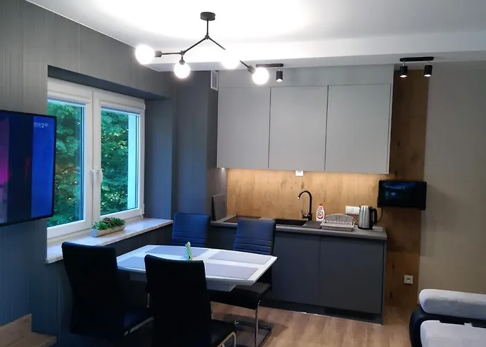 アパートホテル Kurort Kozubnik 33 Wellness &spa