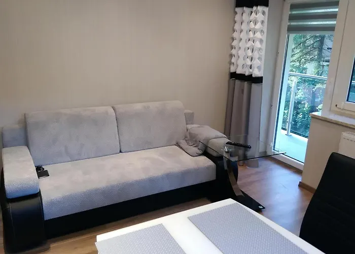 Kurort Kozubnik 33 Wellness &spa アパートホテル 3*