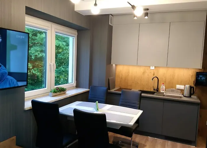 Kurort Kozubnik 33 Wellness &spa アパートホテル Porąbka