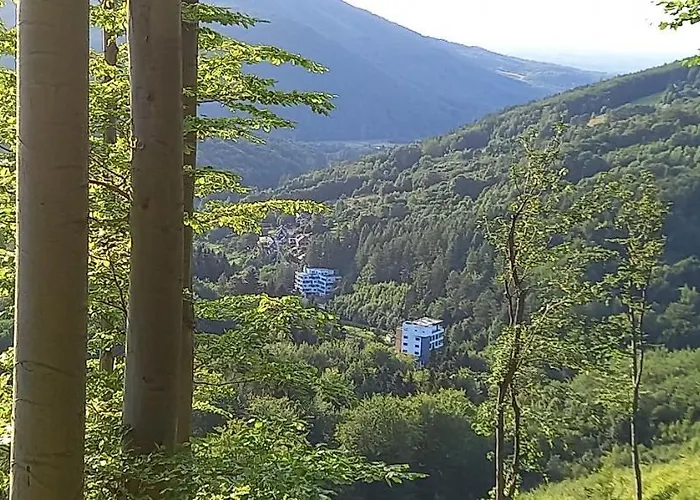 Kurort Kozubnik 33 Wellness &spa アパートホテル Porąbka