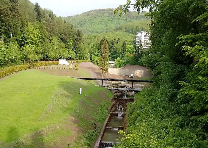 Kurort Kozubnik 33 Wellness &spa アパートホテル 3*