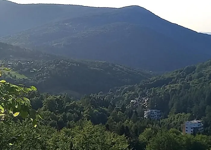 Kurort Kozubnik 33 Wellness &spa 3*