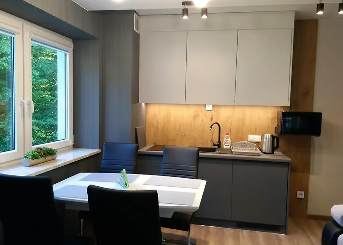 Kurort Kozubnik 33 Wellness &spa アパートホテル Porąbka